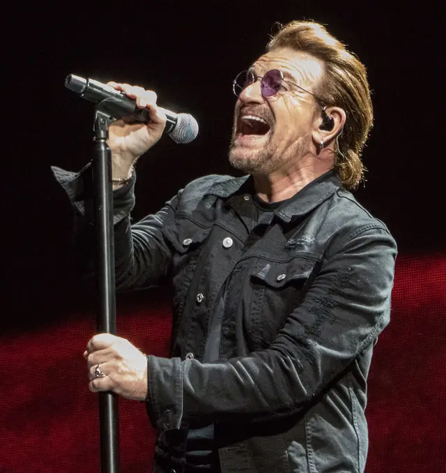 bono search trend
