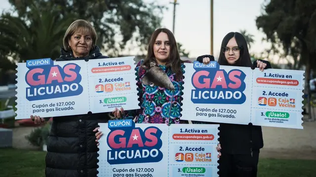 cupon de gas gob cl - trend visualization