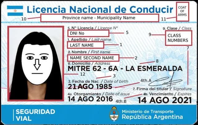 digital driver's license - trend visualization
