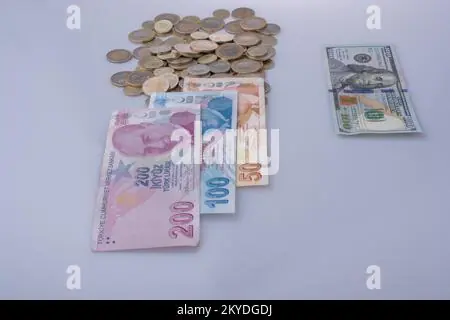 dolar kaç tl (dollar to lira) - trend visualization