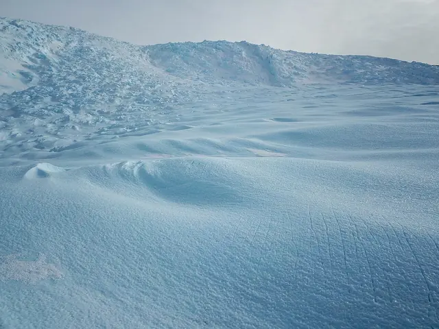 drake iceman - trend visualization
