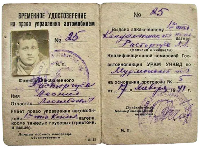 permis de conducere (drivers license) - trend visualization