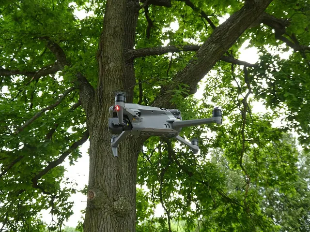 drone - trend visualization