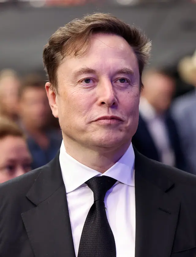 elon musk - trend visualization
