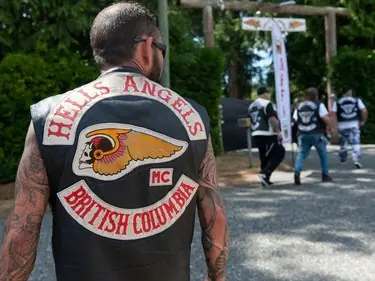 hells angels - trend visualization