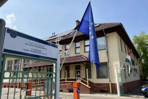 magyar igazságügyi szakértői kamara (Hungarian Chamber of Forensic Experts) - trend visualization
