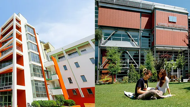 bilgi üniversitesi (Information University) - trend visualization