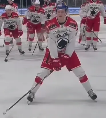 lenni hämeenaho - trend visualization