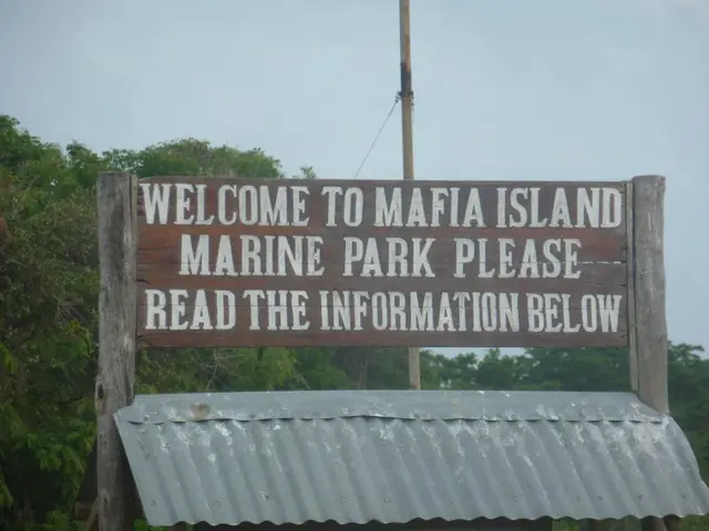 mafia - trend visualization
