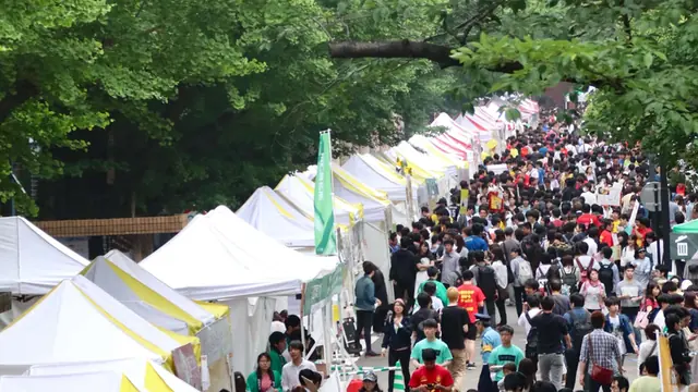 5月祭 (May Festival) - trend visualization