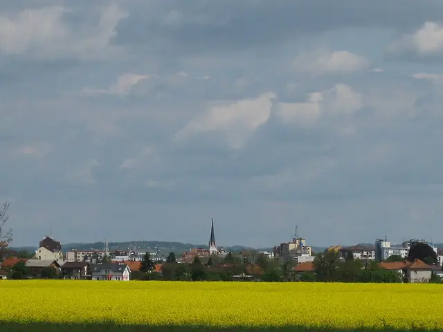 murska sobota - trend visualization