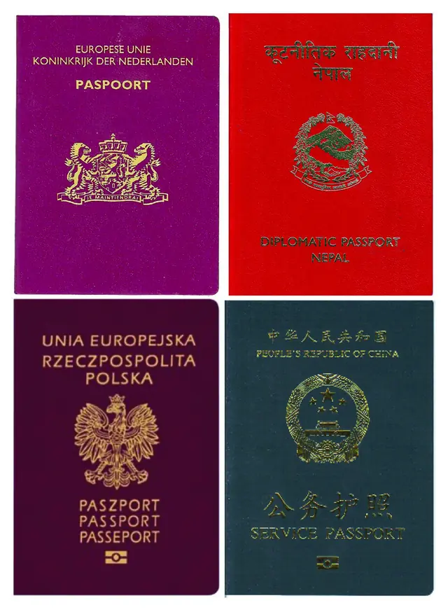 passport - trend visualization