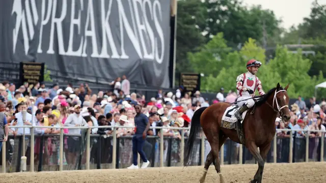 preakness 2026 - trend visualization