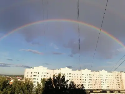 прогноз - trend visualization