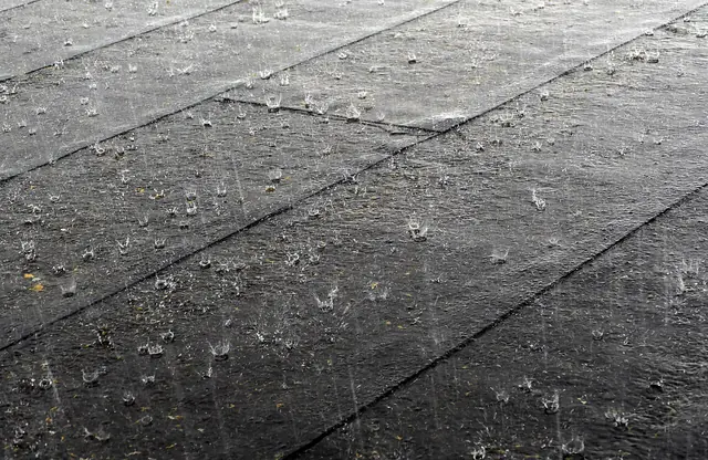 déšť (rain) - trend visualization