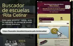 buscador de folio beca rita cetina (Rita Cetina scholarship searcher) - trend visualization
