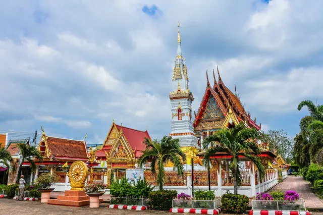 thai princess - trend visualization