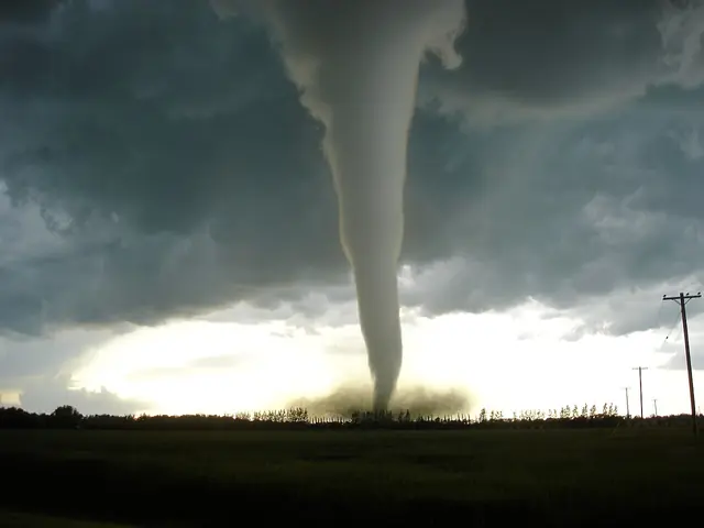 tornado - trend visualization