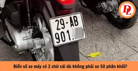 biển đăng ký xe (Vehicle registration plate) - trend visualization