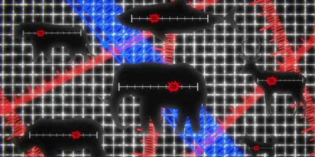 bono de guerra (War bonus) - trend visualization
