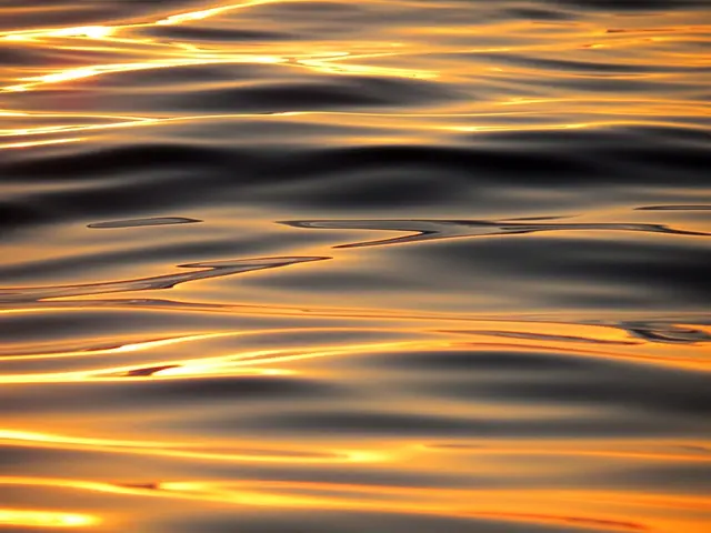 вода (water) - trend visualization