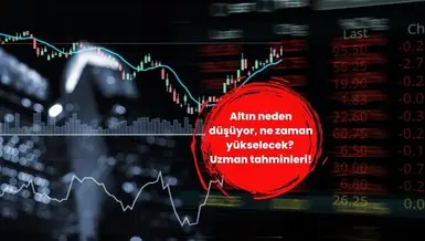 altın neden düştü (Why did gold fall) - trend visualization