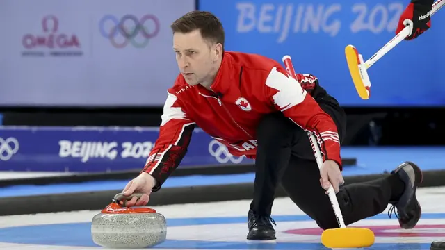 egészségügyi világszervezet (World Health Organization) - trend visualization